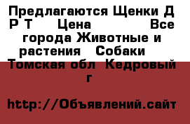 Предлагаются Щенки Д.Р.Т.  › Цена ­ 15 000 - Все города Животные и растения » Собаки   . Томская обл.,Кедровый г.